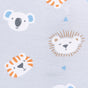 Lions Tigers and Bears