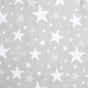 In The Stars