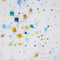 kite parade
