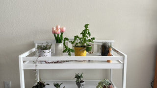 Upcycle Your Baby Changing Table