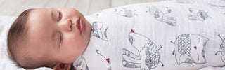 Swaddled, sleeping baby