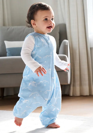 4729_4730_4731_SleepSack_Toddler_Dragons_6.webp