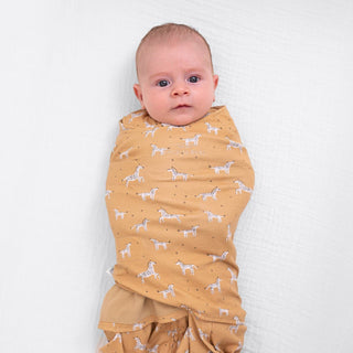 Swaddle Box Bundle Easy, Organic HALO SleepSack Swaddles