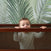 A baby in a white outfit stands in the HALO 3-in-1 Convertible Full Size Breathable Mesh Crib, peeking over the airy mesh rail, with green leaf-patterned wallpaper in the background.
