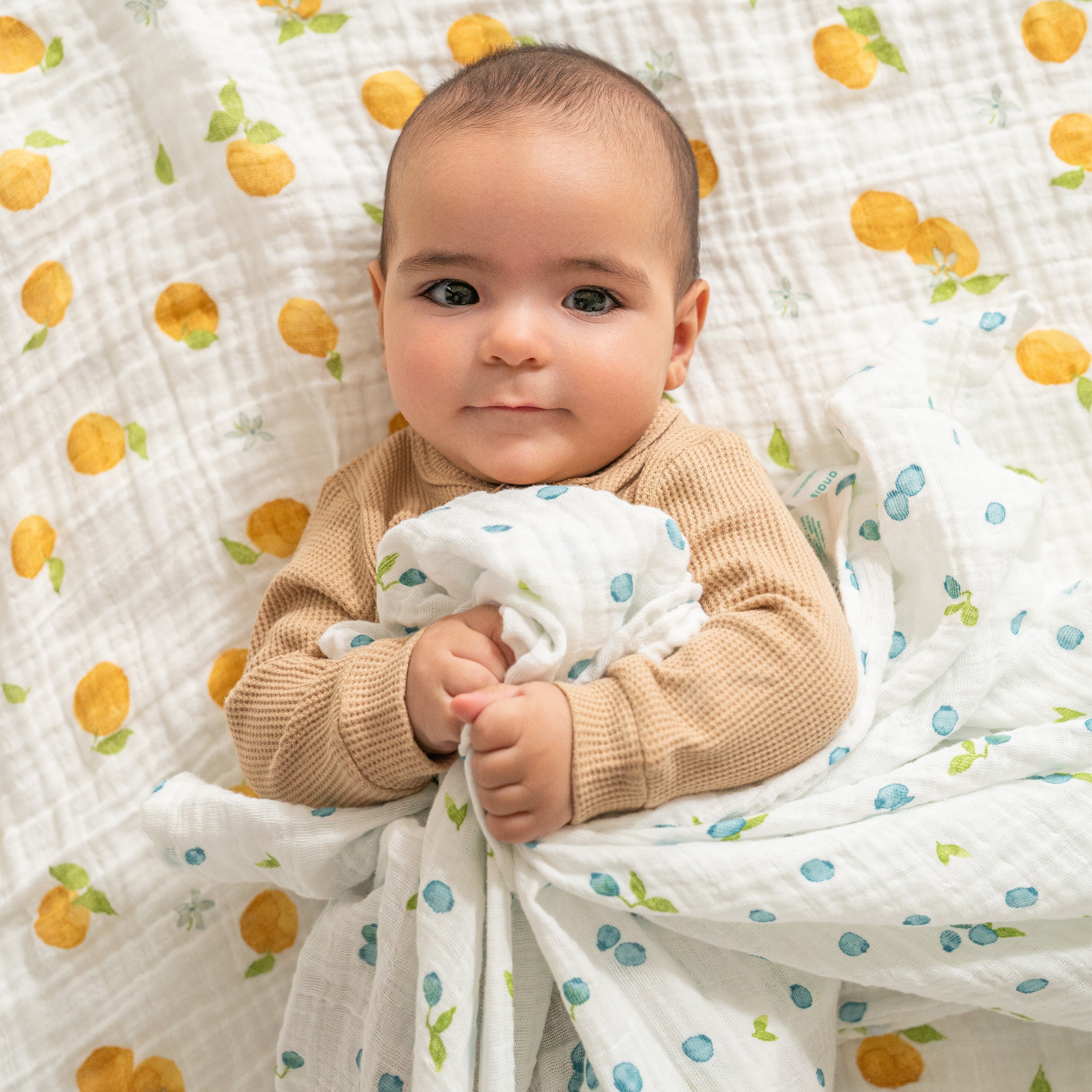 aden anais Fresh Fruit Organic Muslin Swaddle Blanket 4pk