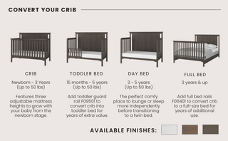 A diagram shows the Child Craft Hampton Flat Top 4-in-1 Convertible Crib in Dapper Gray converting from crib to toddler bed, day bed, and full bed, with descriptions and finishes in white, brown, and gray under each stage.