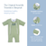 The HALO Baby Merlin's Magic Sleepsuit® 100% Cotton in green has zippers, a scooped neckline, zipper coverings, open hands and feet. Its design supports swaddle transition to help establish healthy sleep habits for babies.