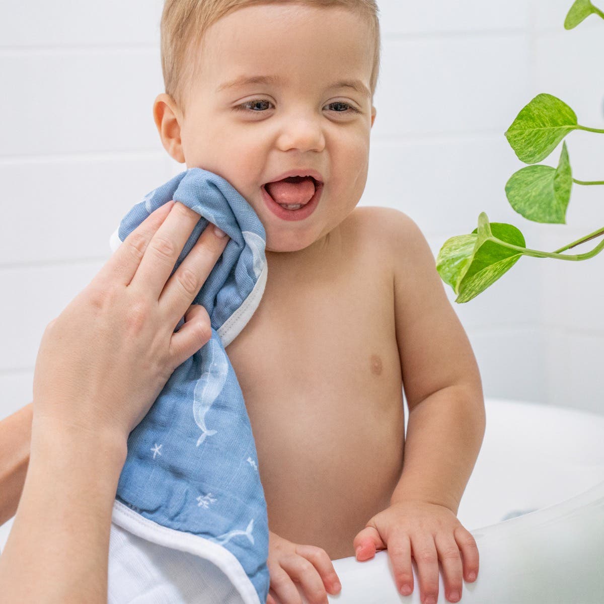 Organic Cotton Muslin Washcloths Pack in oceanic aden anais