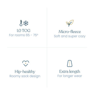 Four icons with text: 1. 1.0 TOG for 65–75° rooms, 2. Micro-fleece—soft and cozy, 3. Hip-healthy roomy HALO design, 4. Extra length for longer wear; Disney™ Winnie the Pooh Wearable Blanket by HALO.