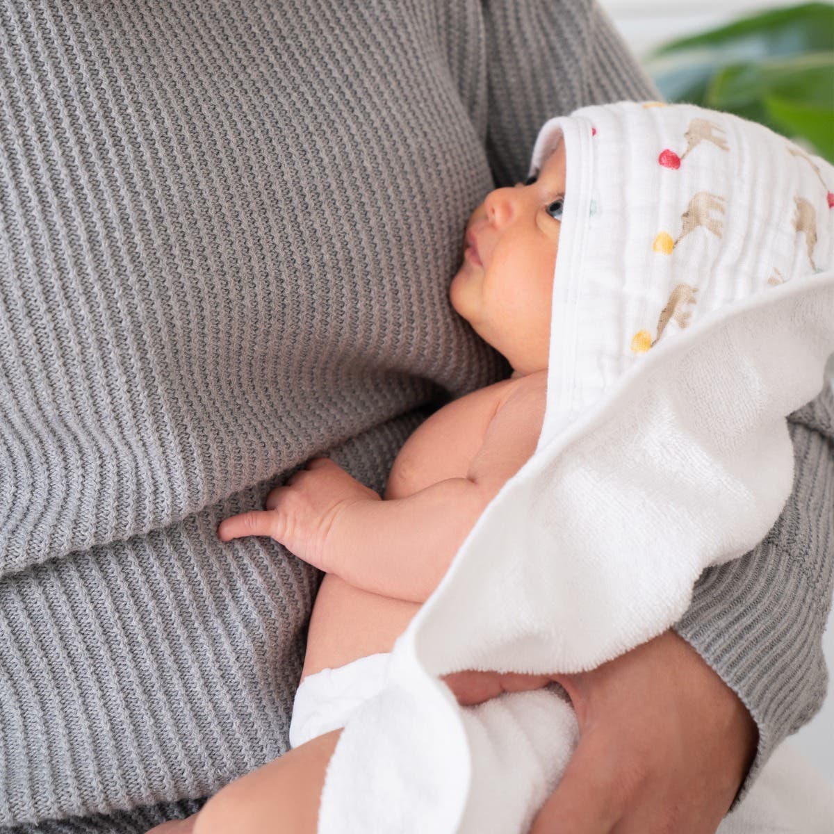 Elephant Circus Cotton Hooded Towel Pack aden anais