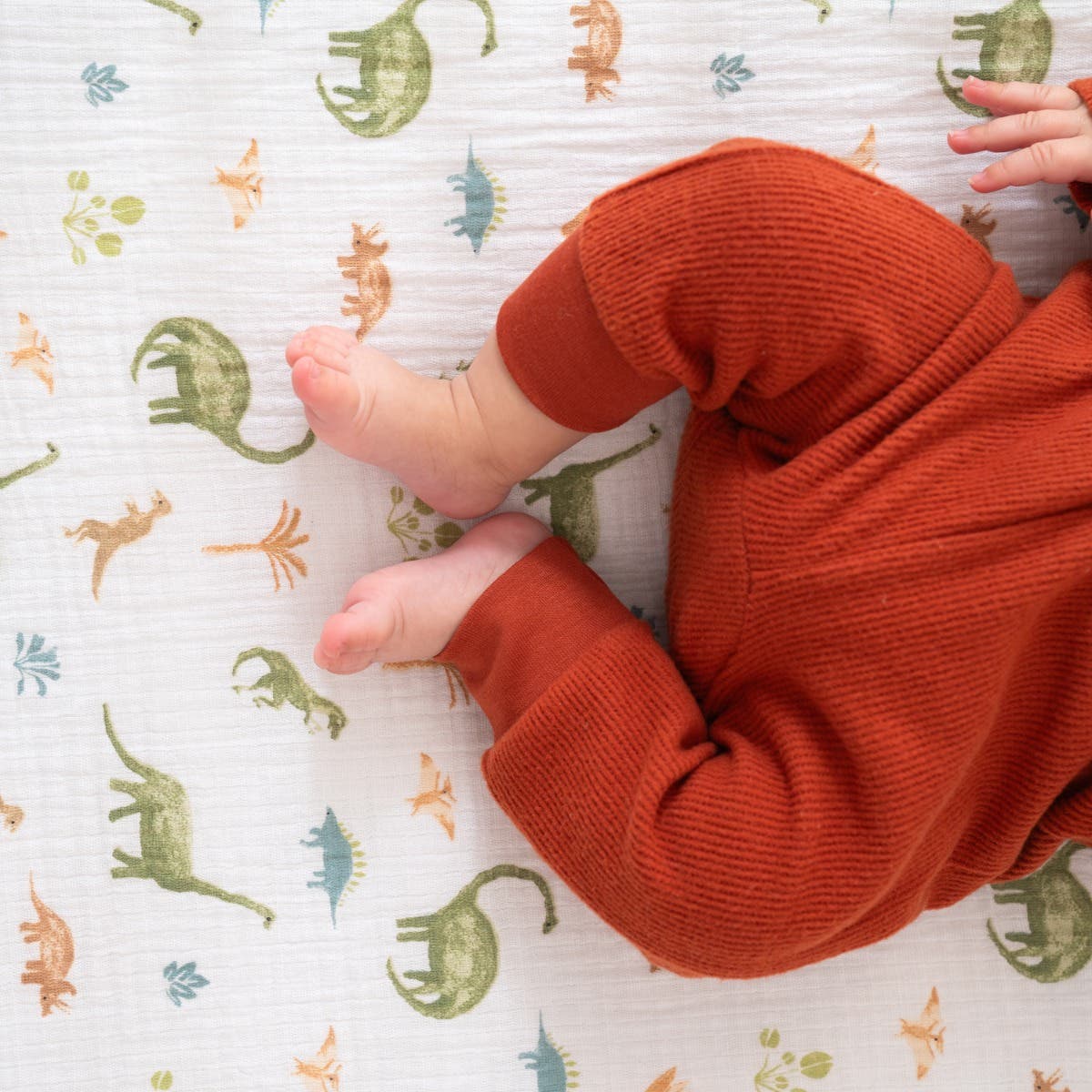 summer infant sheets aden + anais Essentials Cotton Muslin Crib Sheet in Dino Jungle