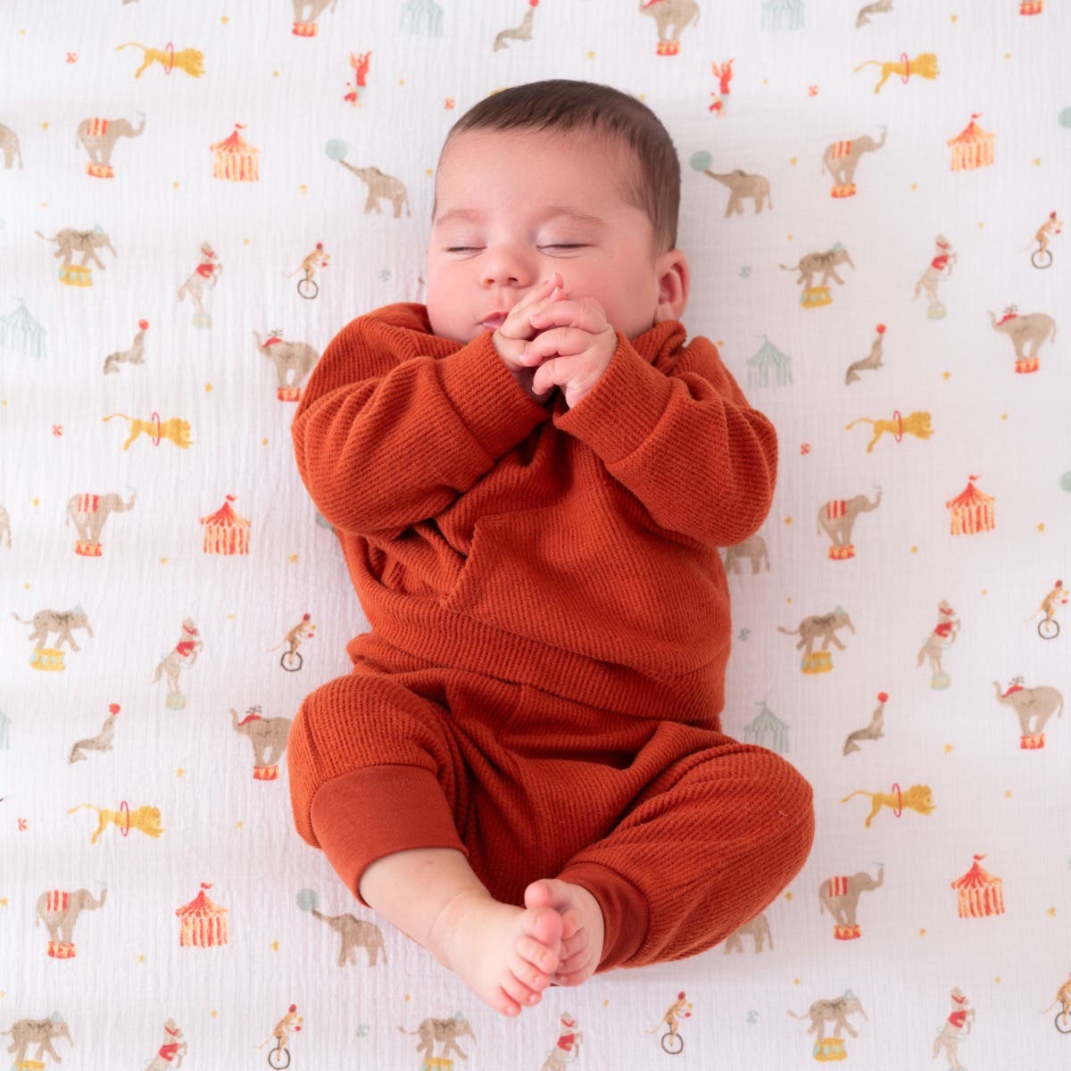 Elephant Circus Cotton Muslin Crib Sheet aden anais