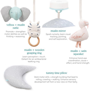Discover aden + anais baby toys and accessories, perfect for sensory development: velboa muslin elephant rattle, muslin mirror, handcrafted birchwood zebra grasping ring, muslin satin squeaking flamingo, and gray tummy time pillow. Pair them with your baby activity gym for optimal engagement.