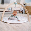 A baby in a green outfit enjoys the aden + anais baby activity gym with a wooden birch arch, featuring hanging toys like an elephant and zebra, while lying beneath it against a sofa and woven basket backdrop.